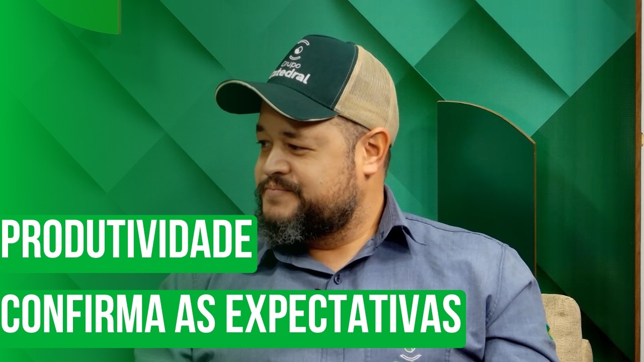 Produtividade confirma as expectativas