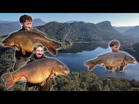 ESCAPING LONDON - A Carp Fishing Adventure! FULL SERIES