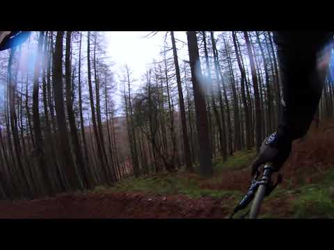 chilly jump line on the focus sam