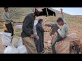 Amir Ali In The Heart Of The Mountain Snow Mustafa Went To The Mountain To Feed His Children ️