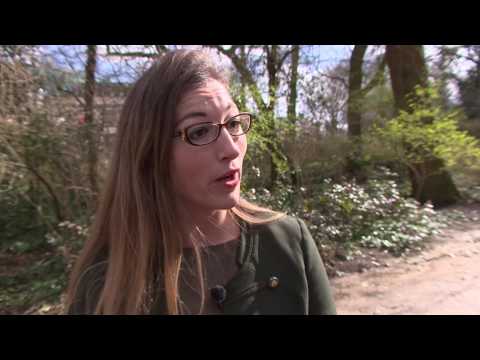 Wanneer ben ik in onderhandeling?