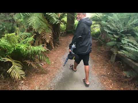 Buried Village of Wairoa   Rotorua NZ