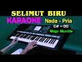 SELIMUT BIRU Mega Mustika KARAOKE Nada Pria HD