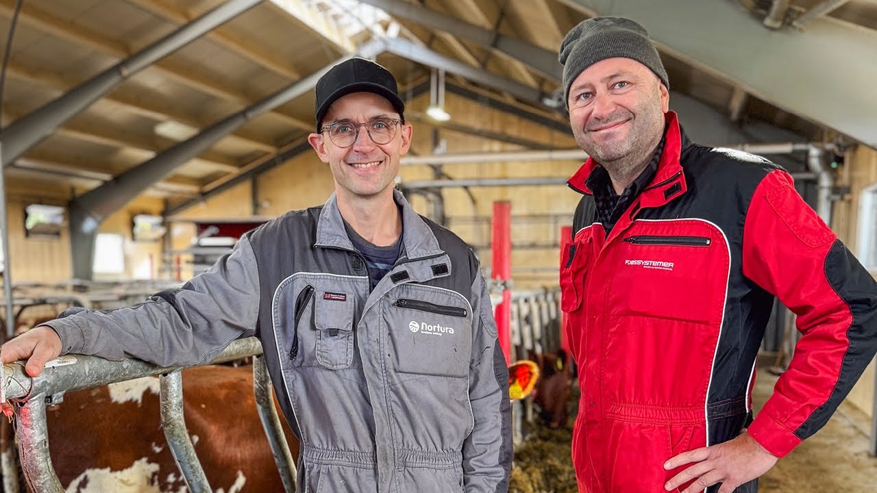 Brukt melkerobot og nytt fjøs hos Sigve René Ulstein