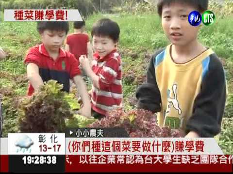 學農夫耕種! 弱勢兒童賺學費