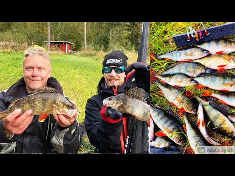 POTUN KANSSA AHVENENKALASTUSTA! KIRKKAISTA VESISTÄ AHVENEN KÖLLIÄ!