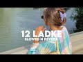 12 Ladke -Tony Kakkar (Slowed n Reverb)