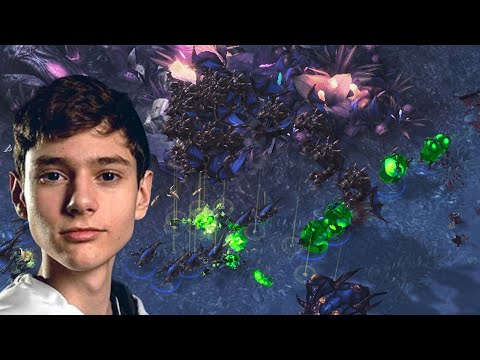 The Never Ending Fight | Lambo (Z) vs Clem (T)