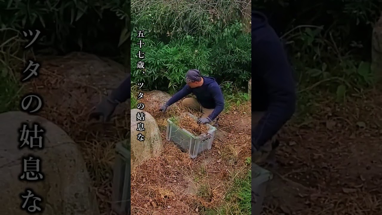 腰はバキバキ。心は梅満開（予定）