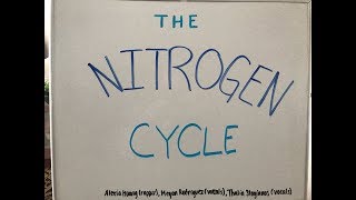 The Nitrogen Cycle Song