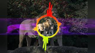 Download lagu Lagu Nias Bowo Mbunga mp3 Download lagu Lagu Nias Bowo Mbunga mp3