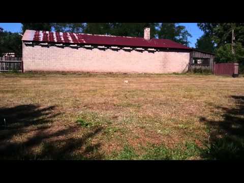 Turniej Piłkarski na Samsonowie