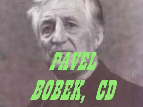 TALENT OF TONY JOE WHITE* - Nocni Dést Jde Georgii* - PAVEL BOBEK