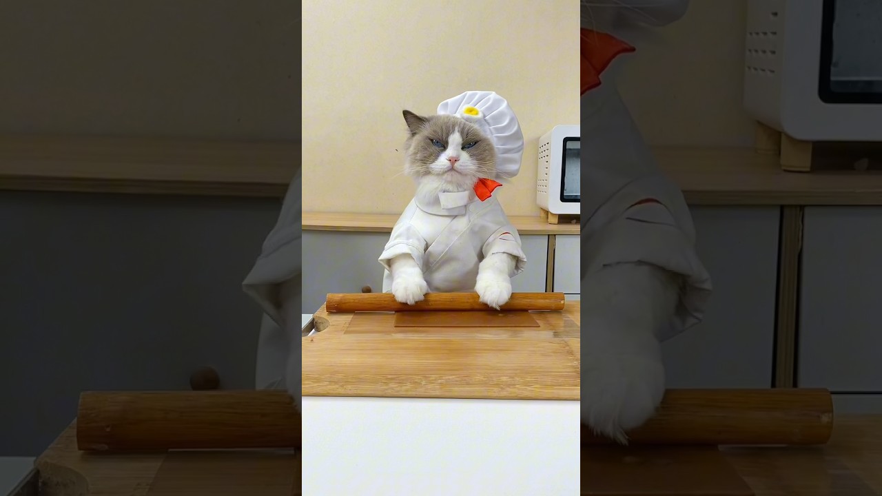 Don't eat it! Let me take a photo of my mini cookie!