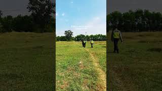 Download lagu KERJA PAKAI HATI REZEKI TAK TERBATAS‼️STORY WA SATPAM mp3