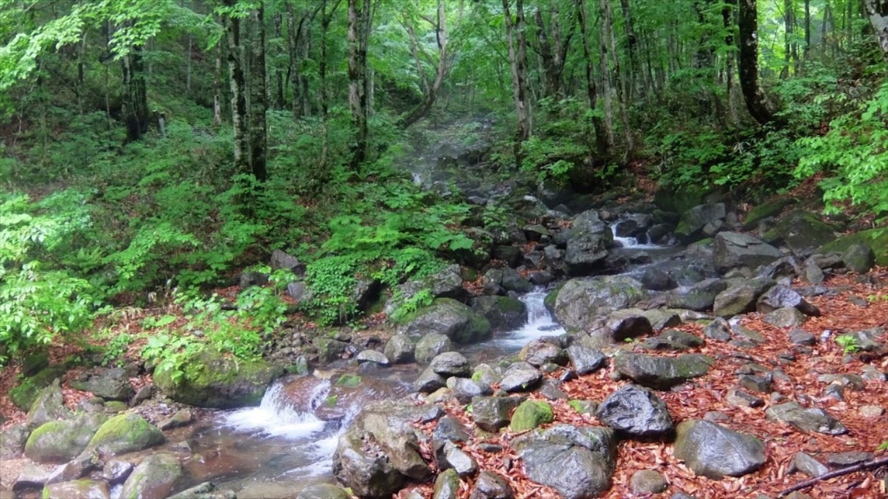 雨上がりの渓流   旅の音景色