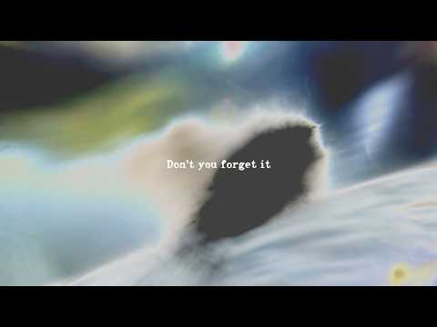 Dont You Forget It - Joshua Woo