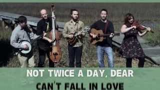 "Insult And An Elbow" (Lyric Video) - Yonder Mountain String Band