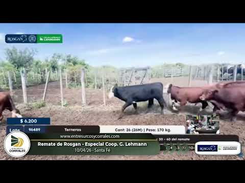 10-04-26 - Remate de Rosgan - Especial Coop. Guillermo Lehmann - Santa Fé