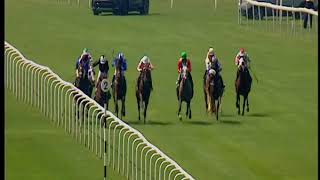 Zayin Angkor Centurion, ridden by his best friend, David Turner, finishes a brilliant second in the