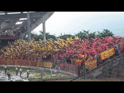 "LSP...LOCALES EN tulua ..2" Barra: Lobo Sur &bull; Club: Pereira