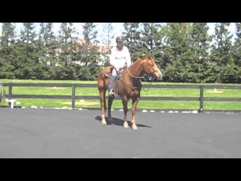 Les Vogt's Horseback exercises 1, 2, and 3