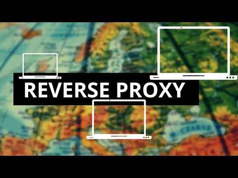 Der Reverse Proxy | Wichtigster Baustein für Serverarchitekturen?