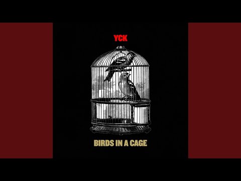 Birds in a Cage