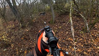 50 Sauen im Dornen Hang - Drückjagd auf starke Rotten im Schwarzdorn Teppich (Copterpro Jagd)