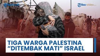 Tiga Warga Palestina "Ditembak Mati" Pasukan Israel di Utara Rafah, saat Pertukaran Sandera Terjadi