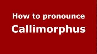 How to pronounce Callimorphus