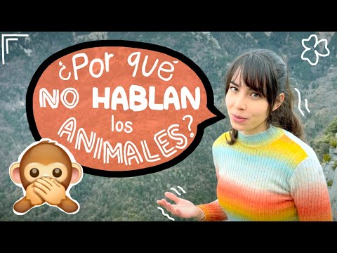 La EVOLUCIÓN del LENGUAJE