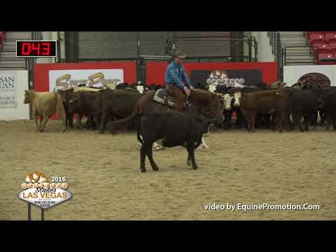 SJR Diamond Rey shown by Corey Cushing - 2016 Stallion Stakes (Herd Prelim)