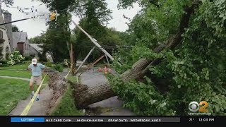 Tropical Storm Isaias: New Rochelle Community Worried Cleanup, Power Restoration Effort Lagging