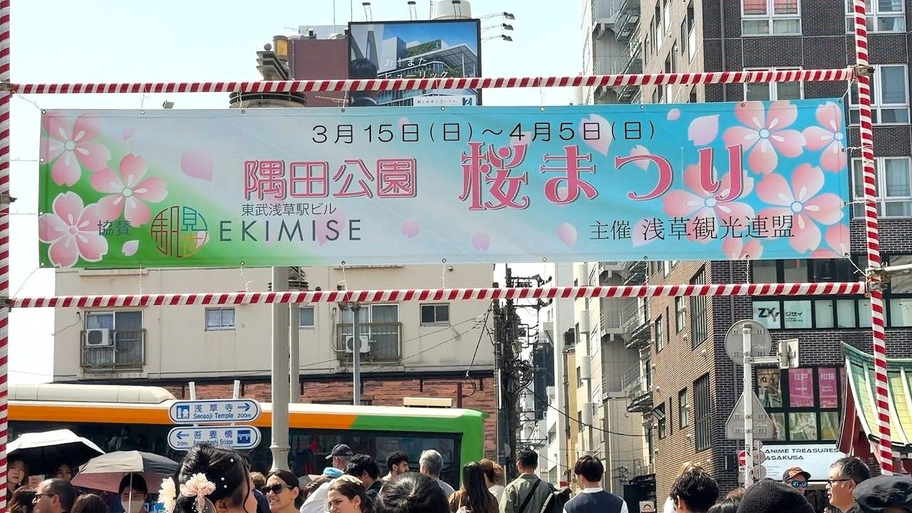 隅田公園桜まつり2026 🌸東京の春の桜めぐり