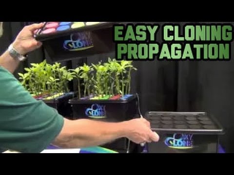 Oxyclone Simply Easy Cloning Propagation Machine - Propagating Clones Cheap Easy Best Way Cuttings
