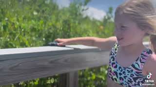 Maserati Drive fun #Maserati  #Fun #Drive #Happy #Beach #Florida #Daytona ￼￼