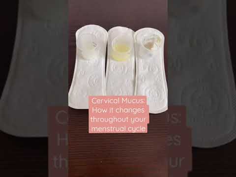 Discharge: Am I normal?! Cervical mucus changes throughout your cycle #shorts