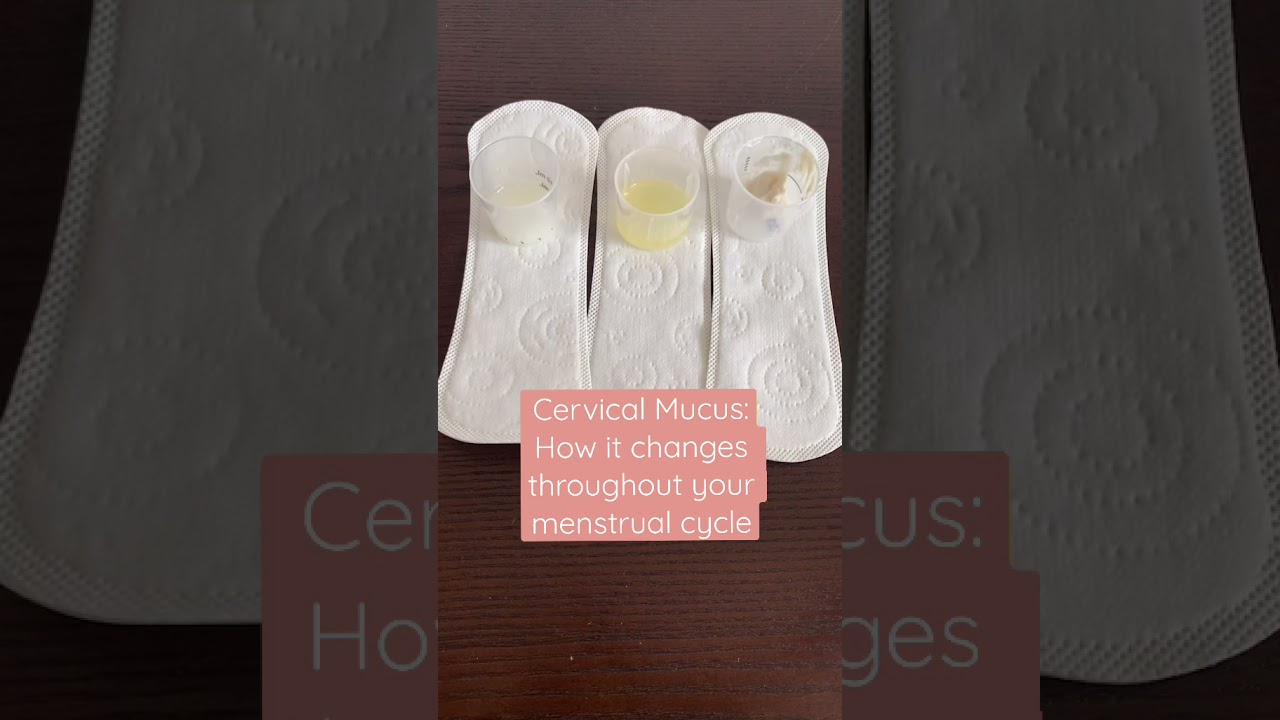 Discharge: Am I normal?! Cervical mucus changes throughout your cycle #shorts