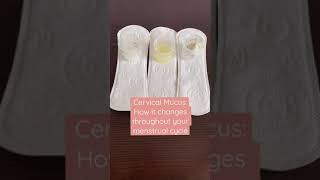 Discharge: Am I normal?! Cervical mucus changes throughout your cycle #shorts