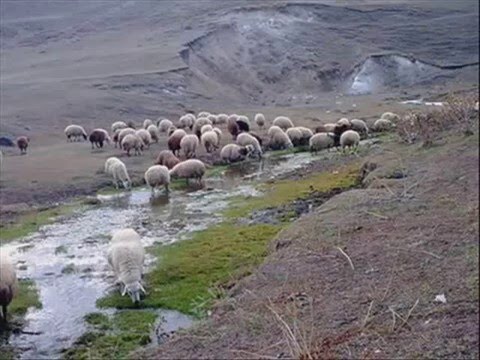 ERZURUM KÜRDÜN KIZI HALAY