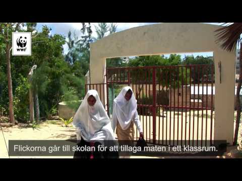 Fiskgryta från Lamu i Kenya