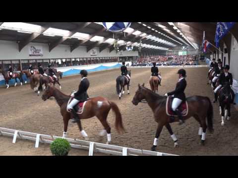 NK carrousel 2016 - De Amsterdamse Manege Paarden Mokum Magic
