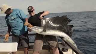 preview picture of video 'BIG GAME FISHING KENYA - SAISONHIGHLIGHTS 2013 - MALINDI / WATAMU'
