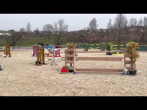 LORDIN 8yo mare by Lord Pizarro x Quidam’s Rubin - March 2022