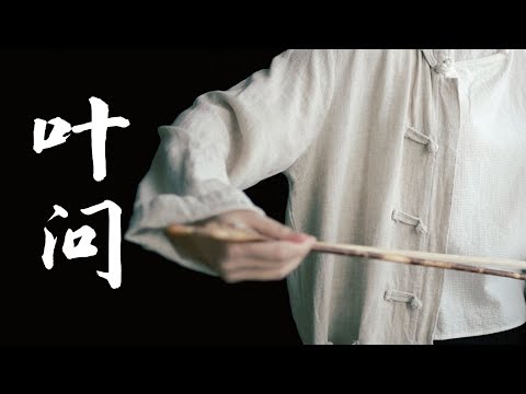 【二胡】电影《叶问》主题配乐