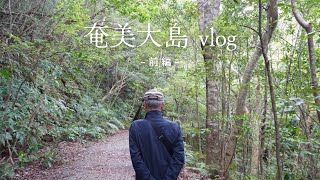 【奄美大島】お爺と孫のふたり旅/マングローブや金作原で自然を楽しむ！(前編)