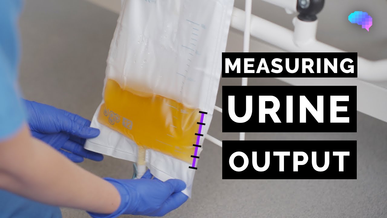 Measuring Urine Output - OSCE Guide | Catheter | UKMLA | CPSA | PLAB 2