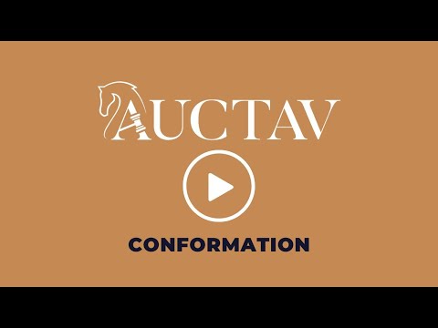 VENTE OBSTACLE - LOT 37 CHERRY ROSE