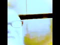 Guy Pours Milk On Himself